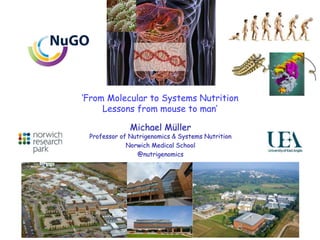 ‘From Molecular to Systems Nutrition
Lessons from mouse to man’
Michael Müller
Professor of Nutrigenomics & Systems Nutrition
Norwich Medical School
@nutrigenomics
 