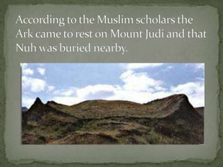 According to the Muslim scholars the Ark came to rest on Mount Judi and that Nuh was buried nearby.
