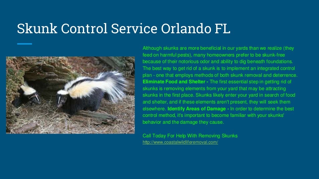 Orlando FL Wildlife Removal - U.S. Coastal Wildlife Removal Service