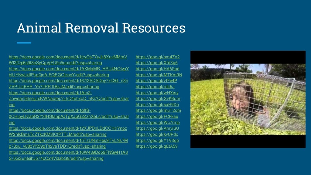 Orlando FL Wildlife Removal - U.S. Coastal Wildlife Removal Service