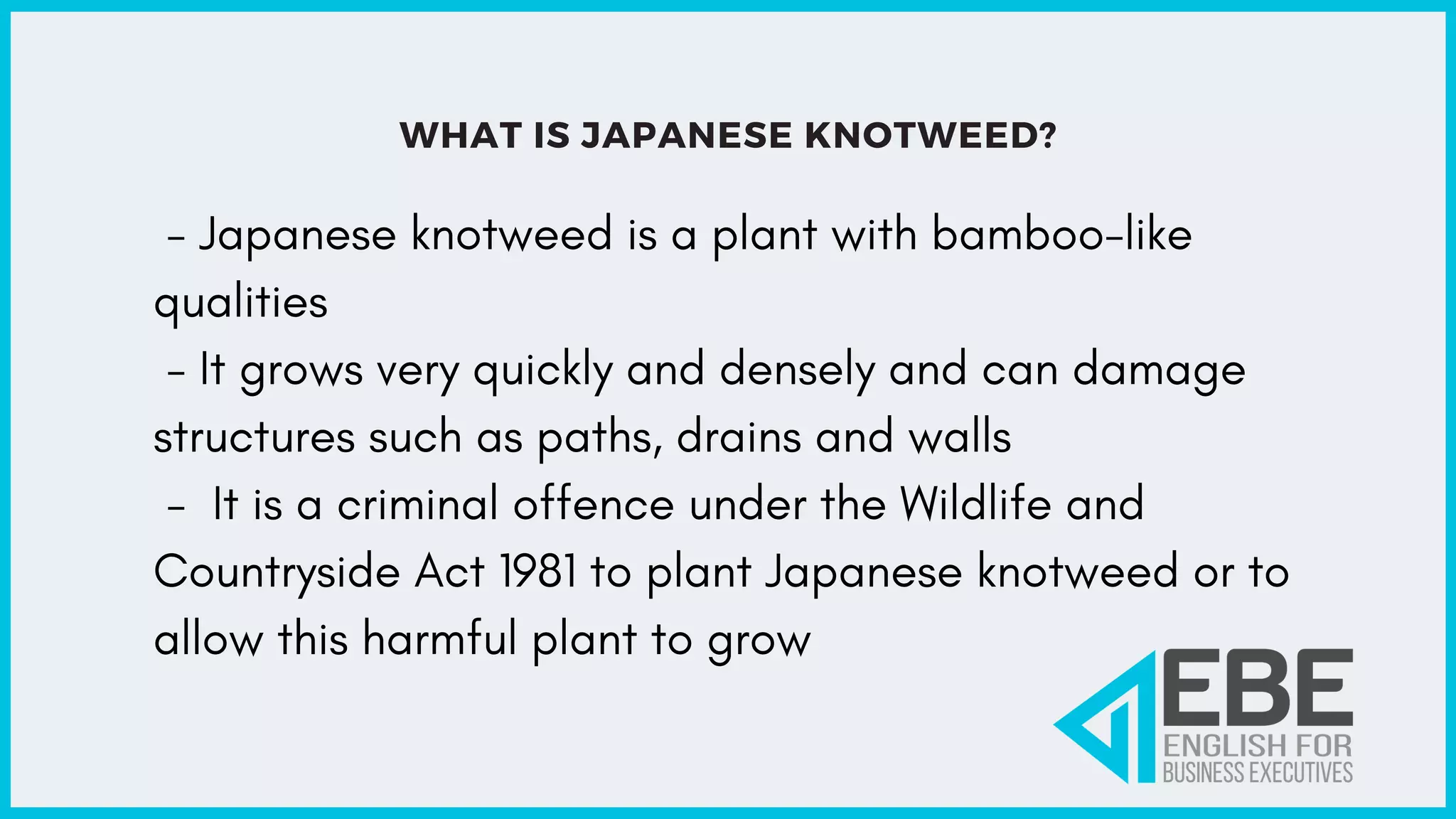 WHAT IS JAPANESE KNOTWEED?
- Japanese knotweed is a plant with bamboo-like
qualities
- It grows very quickly and densely and can damage
structures such as paths, drains and walls
- It is a criminal offence under the Wildlife and
Countryside Act 1981 to plant Japanese knotweed or to
allow this harmful plant to grow
 