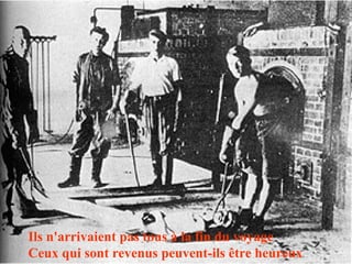 Ils n'arrivaient pas tous à la fin du voyage Ceux qui sont revenus peuvent-ils être heureux 