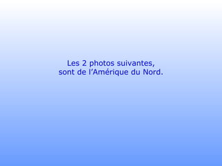 Les 2 photos suivantes, sont de l’Amérique du Nord. 