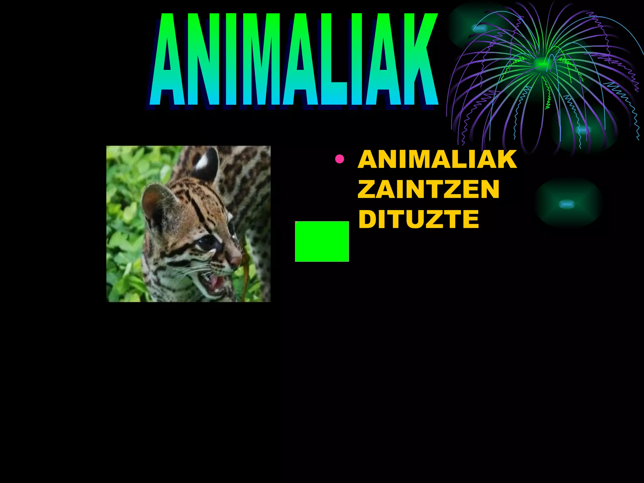 ANIMALIAK ZAINTZEN DITUZTE ANIMALIAK 