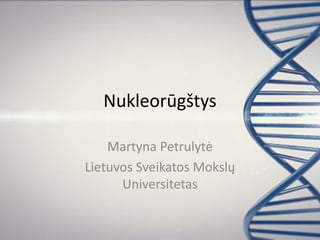 Nukleorūgštys
Martyna Petrulytė
Lietuvos Sveikatos Mokslų
Universitetas
 