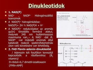 Dinukleotidok 1. NAD(P) NAD +  , NADP +  Hidrogénszállító koenzimek A  NAD(P) +  hidrogénkötése: NAD(P)+ 2H    NAD(P)H + H + A NAD(P) +  redukciójakor az aromás gyűrű kinoidális formává alakul, melynek 340 nm hullámhosszon maximuma van.-> A NAD +  -dal ill. NADP +  -val működő enzimek által katalizált reakció spektrofotometriás úton való követésére van lehetőség. 2. FAD Flavin-adenin-dinukleotid / Adenozin két foszfáton keresztül   kapcsolódik a riboflavinhoz (B 2  vitamin)/ D-ribitol+6,7 dimetil-izoalloxazin (FMN+AMP) 