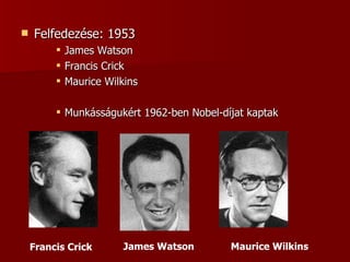 Felfedezése: 1953 James Watson Francis Crick Maurice Wilkins Munkásságukért 1962-ben Nobel-díjat kaptak James Watson Francis Crick Maurice Wilkins 