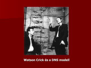 Watson Crick és a DNS modell 