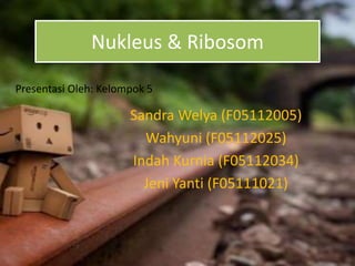 Nukleus & Ribosom
Sandra Welya (F05112005)
Wahyuni (F05112025)
Indah Kurnia (F05112034)
Jeni Yanti (F05111021)
Presentasi Oleh: Kelompok 5
 