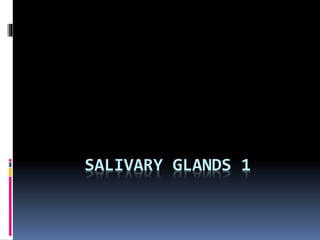 SALIVARY GLANDS 1
 