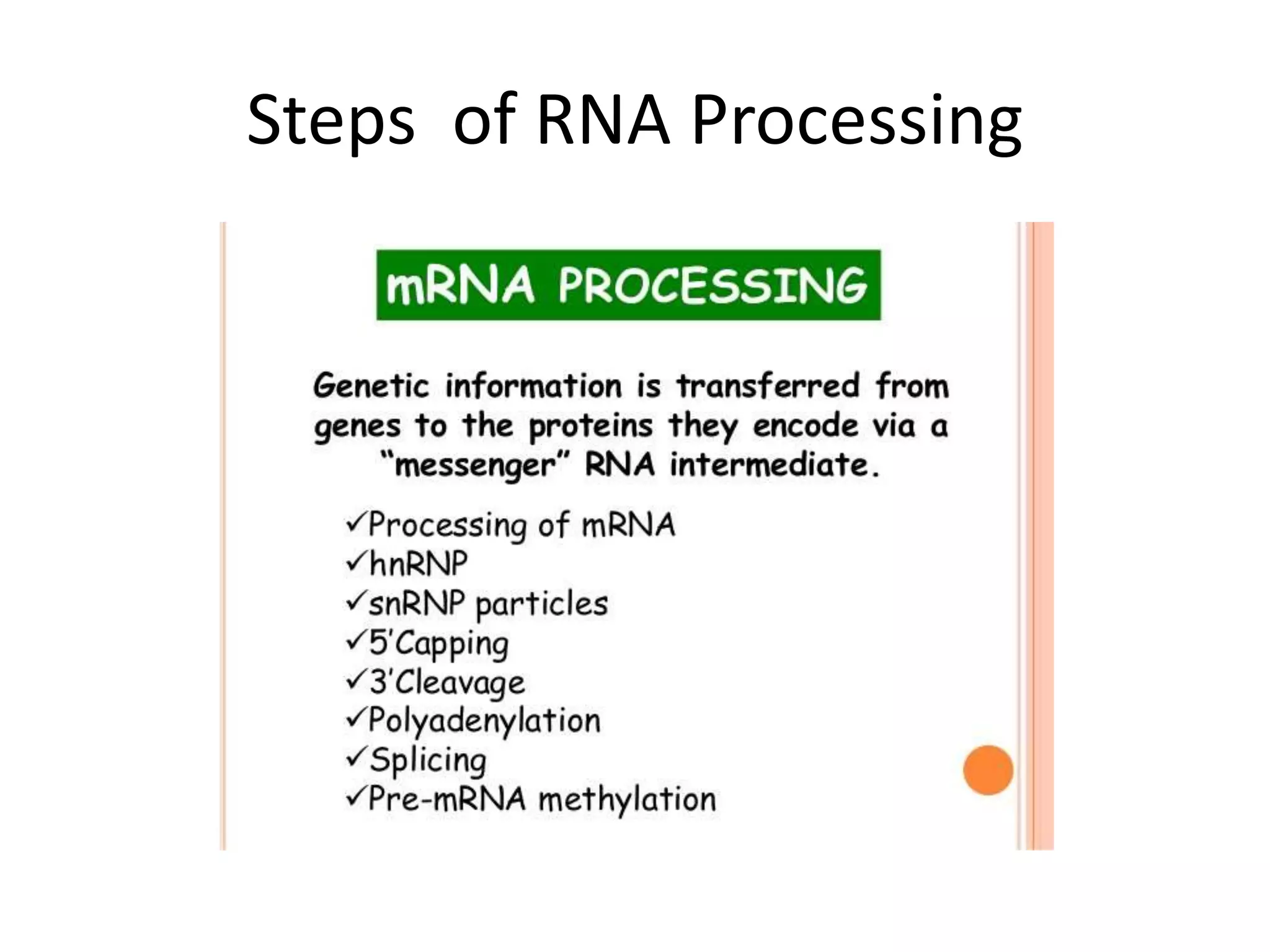 Steps of RNA Processing