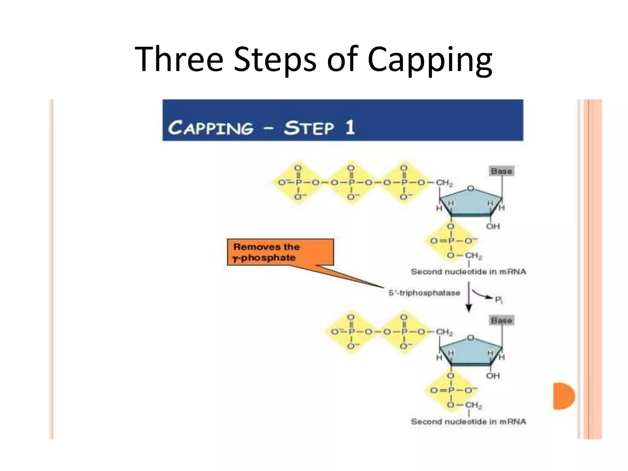 Three Steps of Capping
