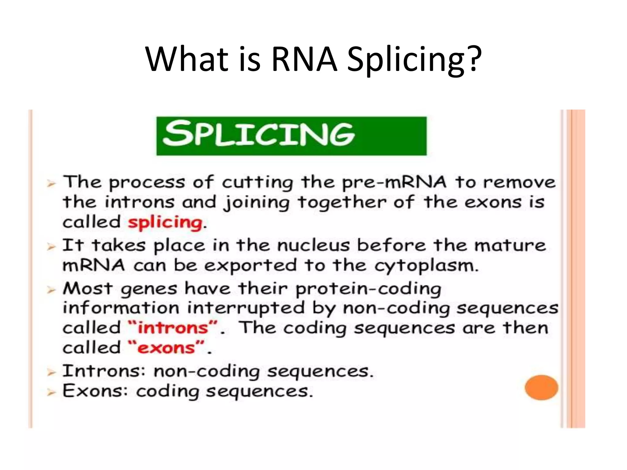 What is RNA Splicing?