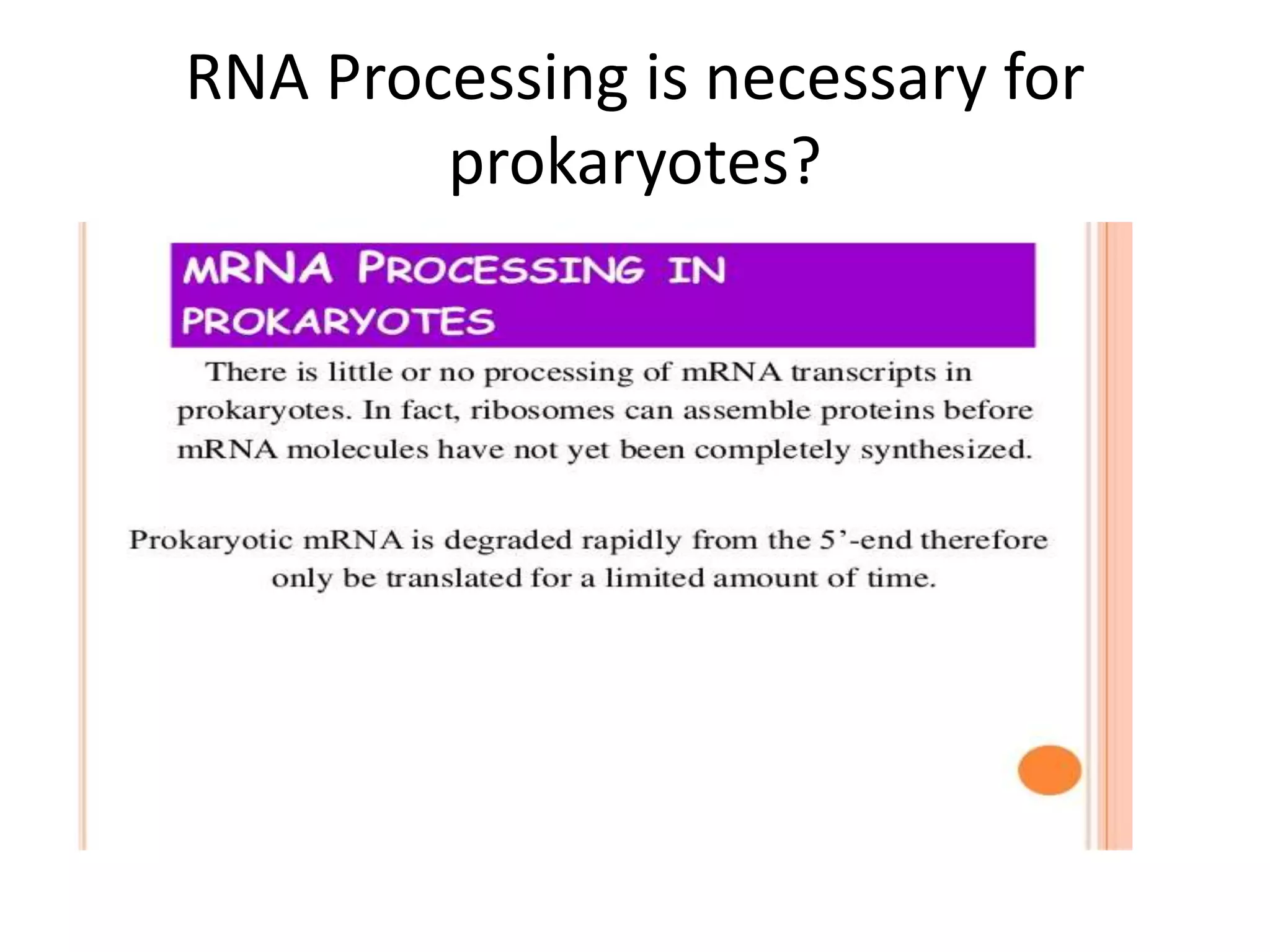 RNA Processing is necessary for
prokaryotes?