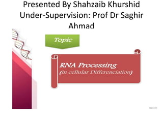 Presented By Shahzaib Khurshid
Under-Supervision: Prof Dr Saghir
Ahmad
 