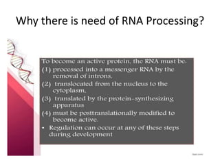 Why there is need of RNA Processing?
 