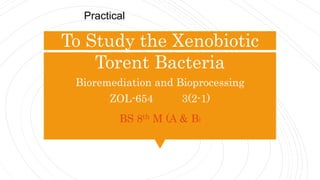 To Study the Xenobiotic
Torent Bacteria
Bioremediation and Bioprocessing
ZOL-654 3(2-1)
BS 8th M (A & B)
Practical
 