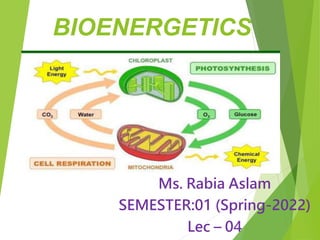 BIOENERGETICS
Ms. Rabia Aslam
SEMESTER:01 (Spring-2022)
Lec – 04
 