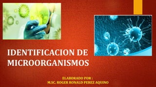 IDENTIFICACION DE
MICROORGANISMOS
ELABORADO POR :
M.SC. ROGER RONALD PEREZ AQUINO
 