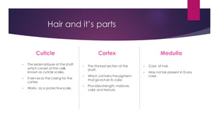 Hair and it’s parts
Cuticle
• The external layer of the shaft
which consist of thin cells
known as cuticle scales.
• It servesas the casing for the
cortex.
• Works as a protectivescale.
Cortex
• The thickest section of the
shaft.
• Which contains the pigment
that giveshair its color.
• Providesstrength,moisture,
color and texture.
Medulla
• Core of hair.
• May not be present in Every
case.
 