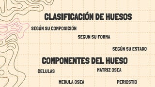 COMPONENTES DEL HUESO
CELULAS MATRIZ OSEA
PERIOSTIO
MEDULA OSEA
CLASIFICACIÓN DE HUESOS
SEGÚN SU COMPOSICIÓN
SEGUN SU FORMA
SEGÚN SU ESTADO
 