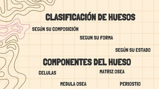 COMPONENTES DEL HUESO
CELULAS MATRIZ OSEA
PERIOSTIO
MEDULA OSEA
CLASIFICACIÓN DE HUESOS
SEGÚN SU COMPOSICIÓN
SEGUN SU FORM...