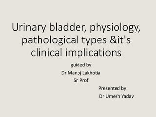 Urinary bladder, physiology,
pathological types &it's
clinical implications
guided by
Dr Manoj Lakhotia
Sr. Prof
Presented by
Dr Umesh Yadav
 