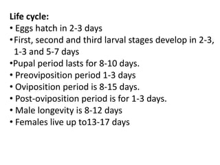 Life cycle:
• Eggs hatch in 2-3 days
•First, second and third larval stages develop in 2-3,
1-3 and 5-7 days
•Pupal period lasts for 8-10 days.
• Preoviposition period 1-3 days
• Oviposition period is 8-15 days.
• Post-oviposition period is for 1-3 days.
• Male longevity is 8-12 days
• Females live up to13-17 days
 