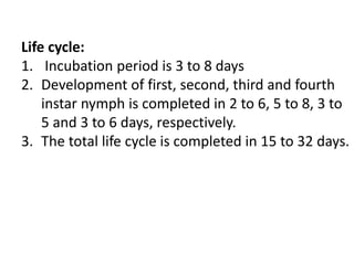 Life cycle:
1. Incubation period is 3 to 8 days
2. Development of first, second, third and fourth
instar nymph is completed in 2 to 6, 5 to 8, 3 to
5 and 3 to 6 days, respectively.
3. The total life cycle is completed in 15 to 32 days.
 
