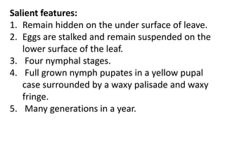 Salient features:
1. Remain hidden on the under surface of leave.
2. Eggs are stalked and remain suspended on the
lower surface of the leaf.
3. Four nymphal stages.
4. Full grown nymph pupates in a yellow pupal
case surrounded by a waxy palisade and waxy
fringe.
5. Many generations in a year.
 