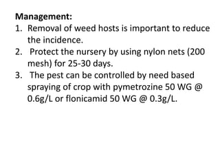 Management:
1. Removal of weed hosts is important to reduce
the incidence.
2. Protect the nursery by using nylon nets (200
mesh) for 25-30 days.
3. The pest can be controlled by need based
spraying of crop with pymetrozine 50 WG @
0.6g/L or flonicamid 50 WG @ 0.3g/L.
 