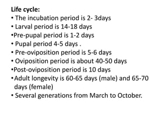 Life cycle:
• The incubation period is 2- 3days
• Larval period is 14-18 days
•Pre-pupal period is 1-2 days
• Pupal period 4-5 days .
• Pre-oviposition period is 5-6 days
• Oviposition period is about 40-50 days
•Post-oviposition period is 10 days
•Adult longevity is 60-65 days (male) and 65-70
days (female)
• Several generations from March to October.
 