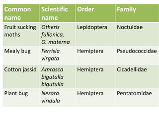 Common
name
Scientific
name
Order Family
Fruit sucking
moths
Otheris
fullonica,
O. materna
Lepidoptera Noctuidae
Mealy bug Ferrisia
virgata
Hemiptera Pseudococcidae
Cotton jassid Amrasca
bigutulla
bigutulla
Hemiptera Cicadellidae
Plant bug Nezara
viridula
Hemiptera Pentatomidae
 