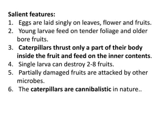 Salient features:
1. Eggs are laid singly on leaves, flower and fruits.
2. Young larvae feed on tender foliage and older
bore fruits.
3. Caterpillars thrust only a part of their body
inside the fruit and feed on the inner contents.
4. Single larva can destroy 2-8 fruits.
5. Partially damaged fruits are attacked by other
microbes.
6. The caterpillars are cannibalistic in nature..
 