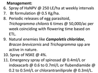 6. Spray of HaNPV @ 250 LE/ha at weekly intervals
7. Bt formulation @ 0.5 Kg/ha.
8. Periodic releases of egg parasitoid,
Trichogramma chilonis 6 times @ 50,000/ac per
week coinciding with flowering time based on
ETL.
9. Natural enemies like Campoletis chloridae,
Bracon brevicornis and Trichogramma spp are
active in nature.
10. Spray of NSKE @ 4%.
11. Emergency spray of spinosad @ 0.4ml/L or
indoxacarb @ 0.6 to 0.7ml/L or flubendiamide @
0.2 to 0.5ml/L or chlorantraniliprole @ 0.3ml/L.
Management:
 