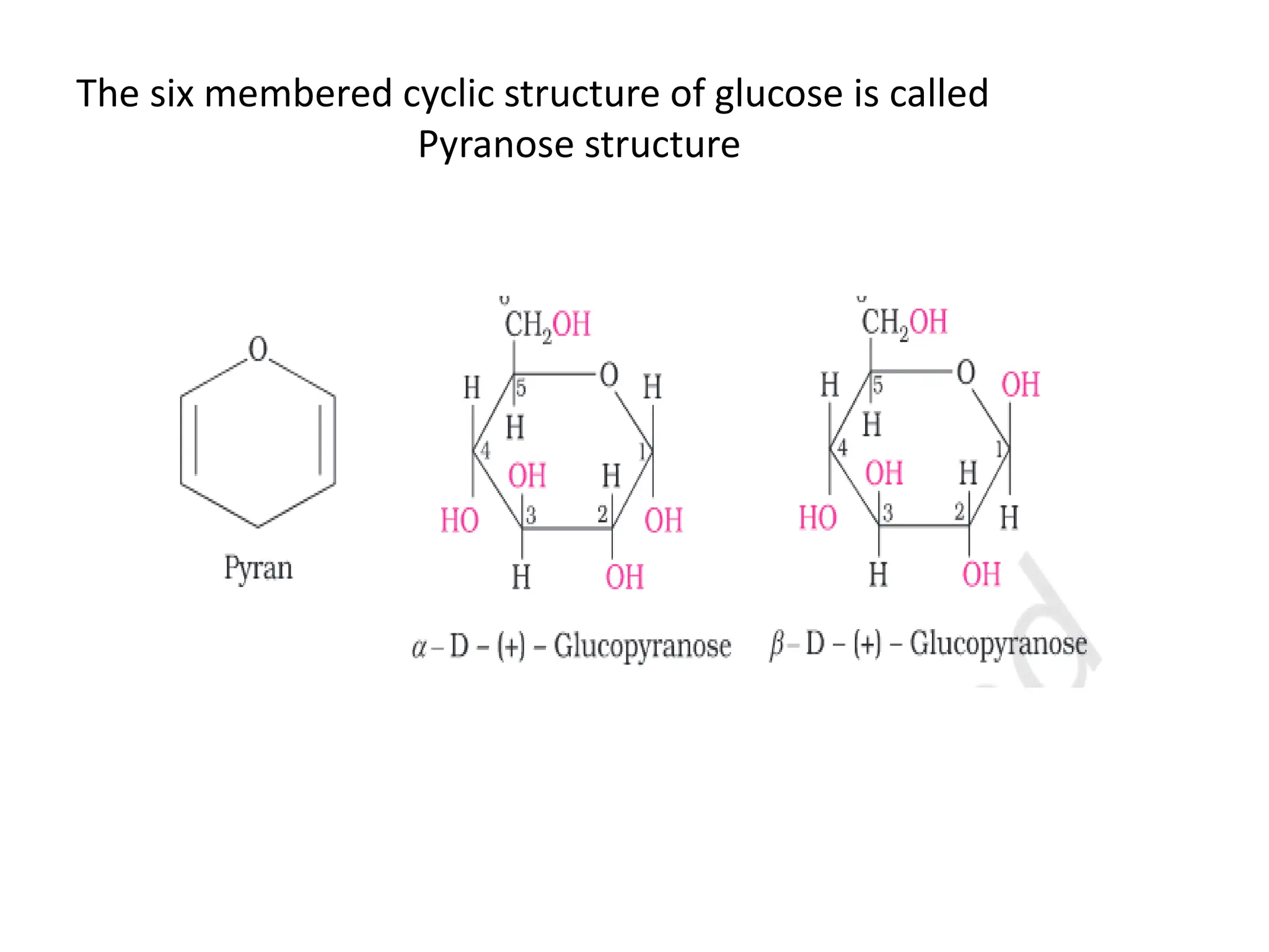Biomolecules class 12 chemistry | PDF
