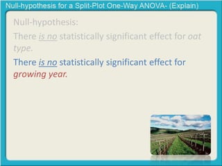 Null-hypothesis: 
There is no statistically significant effect for oat 
type. 
There is no statistically significant effect for 
growing year. 
 