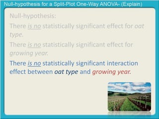 Null-hypothesis: 
There is no statistically significant effect for oat 
type. 
There is no statistically significant effect for 
growing year. 
There is no statistically significant interaction 
effect between oat type and growing year. 
 