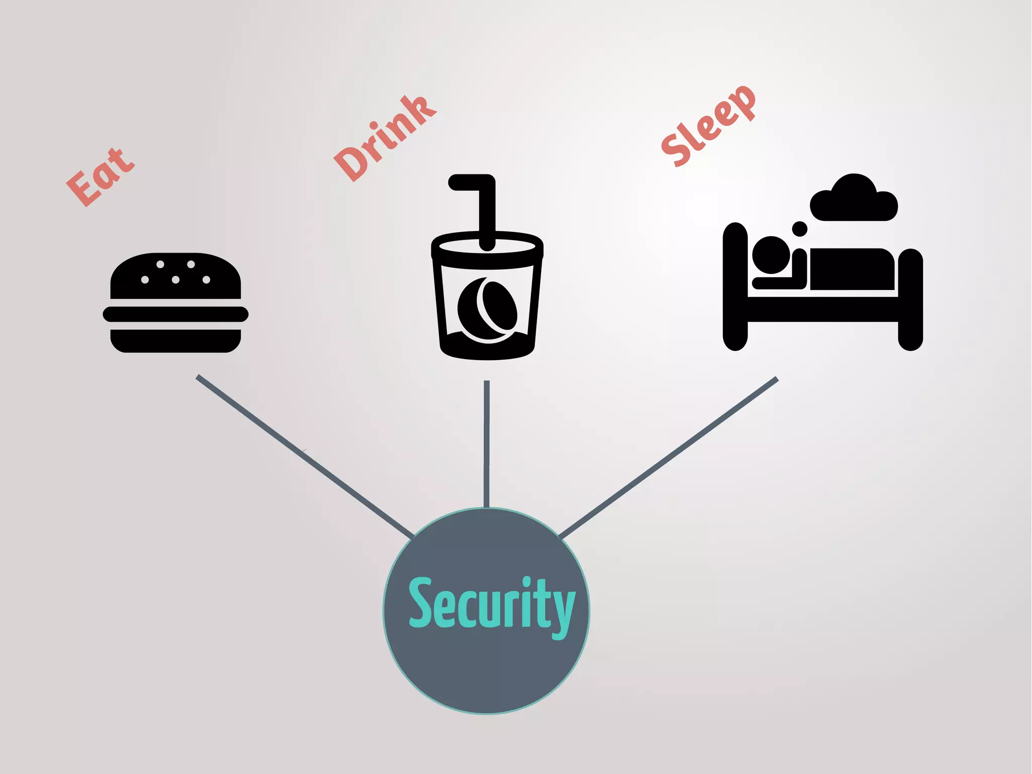 Eat Drink
Sleep
Security
 