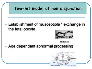 Two-hit model of non disjunction
 Establishment of "susceptible " exchange in
the fetal oocyte
 Age dependant abnormal processing
 