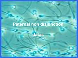 Paternal non disjunction
datas
 
