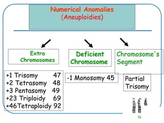 Numerical Anomalies
(Aneuploidies)
Extra
Chromosomes
+1 Trisomy 47
+2 Tetrasomy 48
+3 Pentasomy 49
+23 Triploidy 69
+46Tetraploidy 92
-1 Monosomy 45 Partial
Trisomy
Deficient
Chromosome
Chromosome's
Segment
 