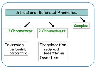 Structural Balanced Anomalies
1 Chromosome
Inversion
pericentric
paracentric
Translocation
reciprocal
Robertsonian
Insertion
2 Chromosomes
Complex
 