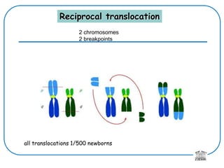 Reciprocal translocation
all translocations 1/500 newborns
2 chromosomes
2 breakpoints
 