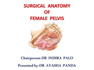 SURGICAL ANATOMY
OF
FEMALE PELVIS
Chairperson-DR INDIRA PALO
Presented by-DR AYASHA PANDA
 