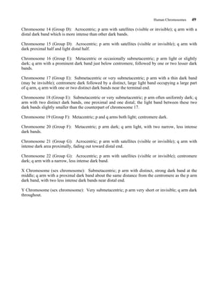 Human Chromosomes 49
Chromosome 14 (Group D): Acrocentric; p arm with satellites (visible or invisible); q arm with a
distal dark band which is more intense than other dark bands.
Chromosome 15 (Group D): Acrocentric; p arm with satellites (visible or invisible); q arm with
dark proximal half and light distal half.
Chromosome 16 (Group E): Metacentric or occasionally submetacentric; p arm light or slightly
dark; q arm with a prominent dark band just below centromere, followed by one or two lesser dark
bands.
Chromosome 17 (Group E): Submetacentric or very submetacentric; p arm with a thin dark band
(may be invisible); centromere dark followed by a distinct, large light band occupying a large part
of q arm, q arm with one or two distinct dark bands near the terminal end.
Chromosome 18 (Group E): Submetacentric or very submetacentric; p arm often uniformly dark; q
arm with two distinct dark bands, one proximal and one distal; the light band between these two
dark bands slightly smaller than the counterpart of chromosome 17.
Chromosome 19 (Group F): Metacentric; p and q arms both light; centromere dark.
Chromosome 20 (Group F): Metacentric; p arm dark; q arm light, with two narrow, less intense
dark bands.
Chromosome 21 (Group G): Acrocentric; p arm with satellites (visible or invisible); q arm with
intense dark area proximally, fading out toward distal end.
Chromosome 22 (Group G): Acrocentric; p arm with satellites (visible or invisible); centromere
dark; q arm with a narrow, less intense dark band.
X Chromosome (sex chromosome): Submetacentric; p arm with distinct, strong dark band at the
middle; q arm with a proximal dark band about the same distance from the centromere as the p arm
dark band, with two less intense dark bands near distal end.
Y Chromosome (sex chromosome): Very submetacentric; p arm very short or invisible; q arm dark
throughout.
 