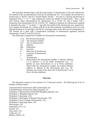 Human Chromosomes 39
The karyotype formula begins with the total number of chromosomes in the cell, followed by
the notation of the sex chromosomes (first the Xs and then the Ys). For example, the formula for a
normal male is “46,XY” and for a normal female “46,XX”. An extra or a missing chromosome is
designated with a “+” or “−” sign, respectively, before the number of chromosome. Thus, a male
with trisomy (three chromosomes) for chromosome 18 is 47,XY,+18, and a female with a
monosomy (one chromosome) for 22 is 45,XX,−22. Addition or deletion of a chromosome segment
is denoted with a plus “+” or minus “−” sign after the symbol of the chromosome arm, respectively.
For example, the formula for a female with the cri du chat syndrome (resemblance of the cry of an
affected newborn to cat mewing) is 46,XX,5p− (missing a piece of the short arm of chromosome 5).
The formula for a male with a translocation (exchange of chromosome segments) between
chromosome 14 and 21 is 46,XY,t(14;21).
The following is a partial list of symbols for chromosome nomenclature:
A–G The chromosome groups
1–22 The autosome numbers
X,Y The sex chromosomes
del Deletion
dup Duplication
inv Inversion
p Short arm of chromosome
q Long arm of chromosome
s Satellite
t Translocation
+/− Placed before the chromosome number, it indicates addition
(+) or deletion (−) of the whole chromosome (e.g., +21
denotes an extra chromosome 21, as in Down syndrome).
Placed after the chromosome number, the symbol indicates
addition or deletion of the chromosome part (e.g., 5p−
indicates loss of part of the short arm of chromosome 5, as in
the cri du chat syndrome).
Materials
The laboratory consists of two sessions of 2–3 hours per session. The following list is for 16
students working in pairs.
Unstained human chromosome slides (unmounted) (8)
G-banded human chromosome slides (mounted) (2)
Worksheet 1: Representative Field With Metaphase Spreads (16)
Worksheet 2: Metaphase Spread (16)
Worksheet 3: Karyotype (16)
Worksheet 4: Description of Human Chromosomes (16)
Worksheet 5: Key to Human Chromosomes (16)
Worksheet 6: Karyotype Sheet (16)
Microscopes (10)
Waterbath (37°C) (1)
Scissors (8)
Glue sticks (16)
Coplin jars (3)
Beakers, 500 ml (2)
 