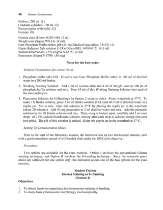 40 Human Chromosomes
Beakers, 200 ml (1)
Graduate cylinders, 100 ml (2)
Pasteur pipets with bulbs (2)
Forceps (8)
Giemsa stain (Fisher SG28-100) (2 ml)
Wright stain (Sigma WS-16) (4 ml)
Gurr Phosphate Buffer tablet, pH 6.8 (Bio/Medical Specialties, 33193) (1)
Hanks Balanced Salt solution (10X) (Gibco-BRL 14180-012) (4.5 ml)
Sodium bicarbonate, 7.5% (Sigma S-8875) (1 ml)
Pancreatin (Sigma P-1750) (50 mg)
Notes for the Instructor
Solution Preparation (for entire class)
1. Phosphate buffer (pH 6.8): Dissolve one Gurr Phosphate Buffer tablet in 100 ml of distilled
water in a 200-ml beaker.
2. Working Staining Solution: Add 2 ml of Giemsa stain and 4 ml of Wright stain to 100 ml of
phosphate buffer solution and mix. Pour 45 ml of this Working Staining Solution into each of
the two coplin jars.
3. Pancreatin Solution for G-Banding (for Option 2 exercise only): Preset waterbath at 37°C. To
make 1X Hanks solution, place 5 ml of Hanks solution (10X) and 40.5 ml of distilled water in a
coplin jar. Stir to mix. Heat this solution to 37°C by placing the coplin jar in the waterbath
(about 20 minutes). Add 50 mg pancreatin to 2 ml distilled water and mix. Add the pacreatin
solution to the 1X Hanks solution and mix. Then, using a Pasteur pipet, carefully add 1 or more
drops of 7.5% sodium bicarbonate solution, mixing after each drop to achieve orange-red color
(not pink). The pH of this solution is critical. Keep this coplin jar in the waterbath at 37°C.
Setting Up Demonstration Slides
Prior to the start of the laboratory session, the instructor sets up two microscope stations, each
with a good metaphase spread of a G-banded slide under the 100X (oil) objective.
Procedure
Two options are available for the class exercise. Option I involves the conventional Giemsa
staining technique, and Option II involves the G-banding technique. Since the materials given
above are sufficient for one option only, the instructor selects one of the two options for the class
exercise.
Student Outline
Giemsa Staining or G-Banding
(Session 1)
Objectives
1. To obtain hands-on experience in chromosome staining or banding.
2. To study basic chromosome morphology microscopically.
 