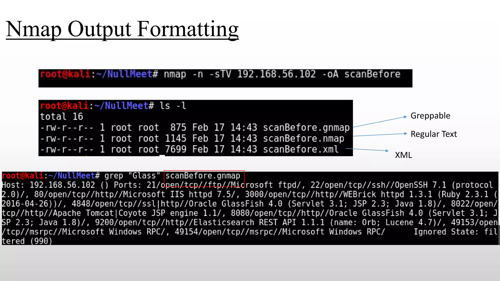 Nmap Output Formatting
Greppable
Regular Text
XML
 