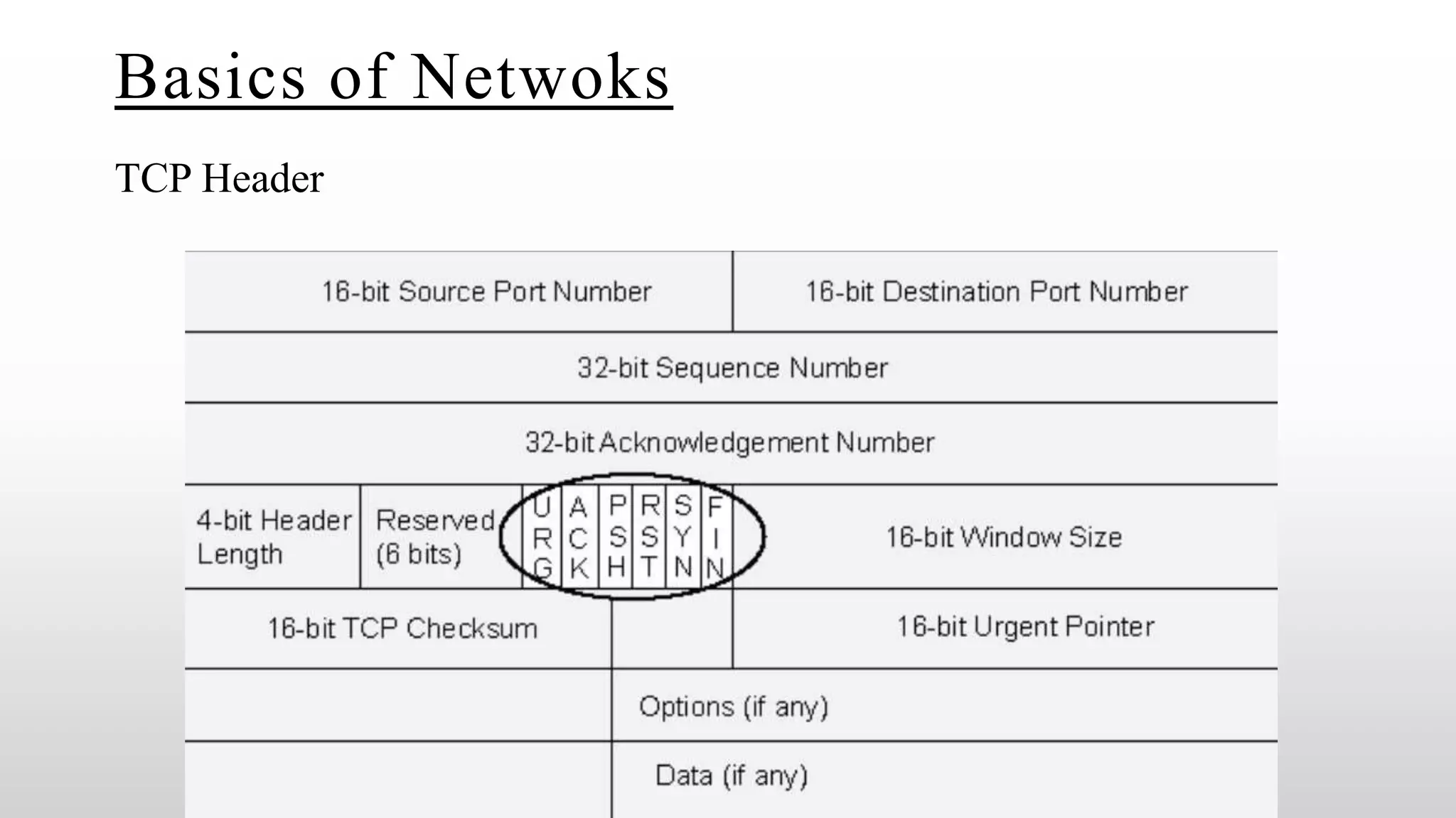 Basics of Netwoks
TCP Header
 